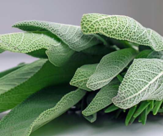 Sage Leaf for Skin